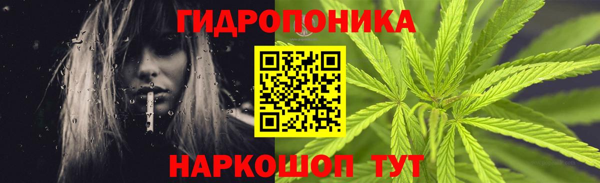 Конопля гибрид Ростов Великий